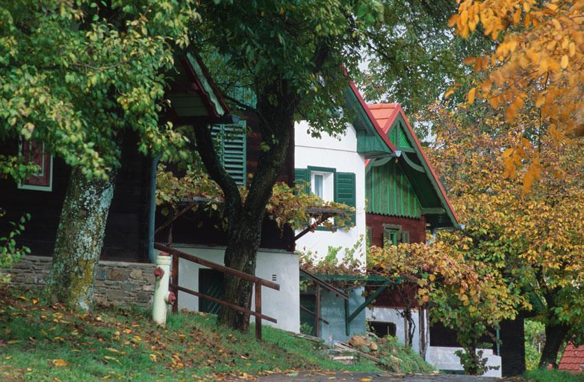 Gasthof Hotel Zum Weinberg Kohfidisch Exteriér fotografie